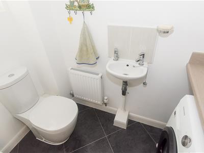 Picture 11